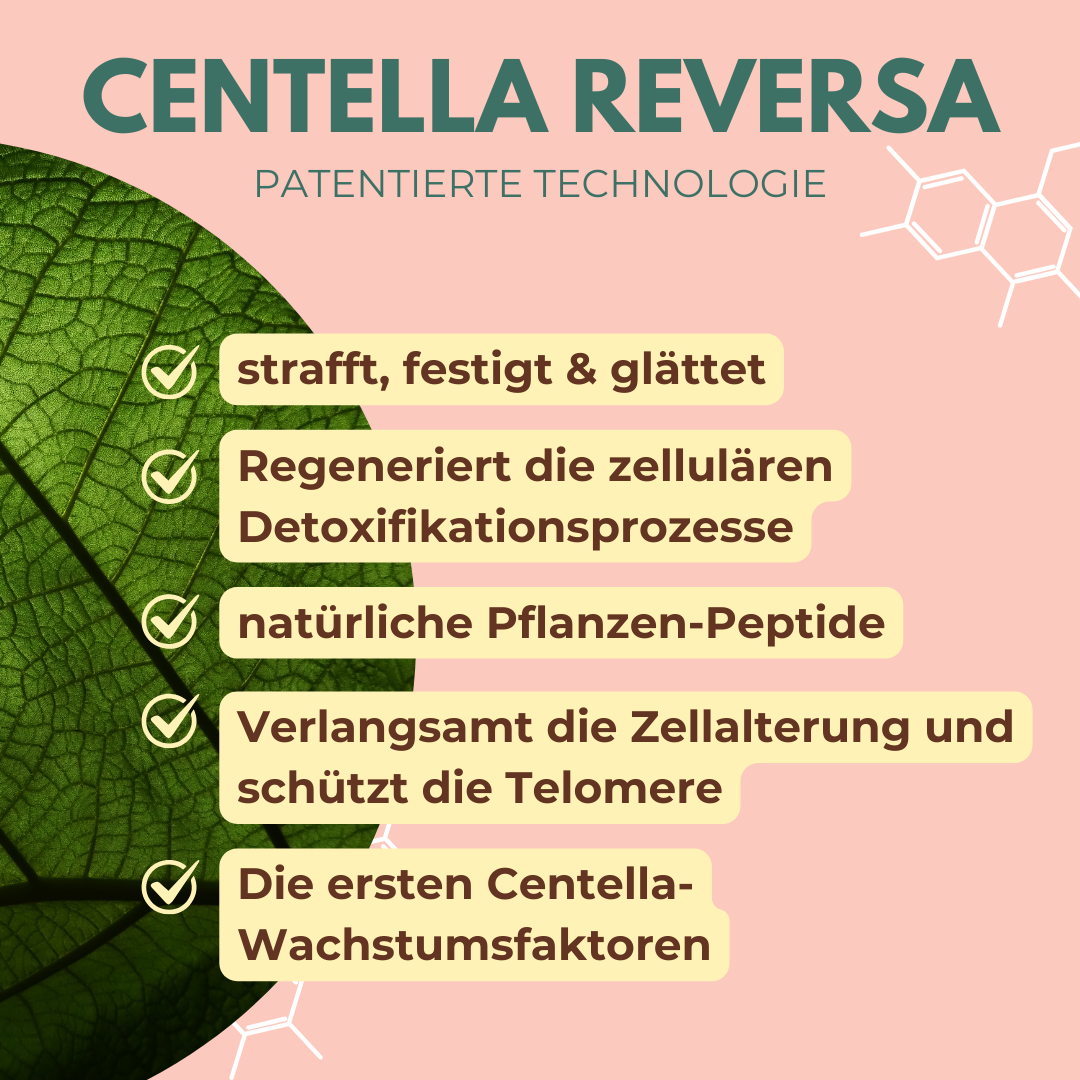 Glow Glaze Anti-Ageing Serum mit  2% Argireline® Amplified, Centella Reversa™, 2% Hyaluronsäure & 2% Ceramide