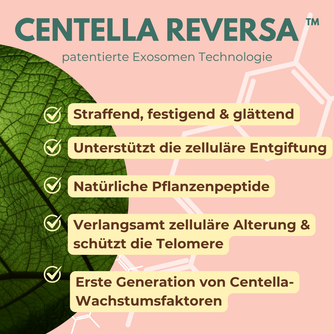 Rice Milky Toner mit Exosomen, Centella-Stammzellen & Hyaluron