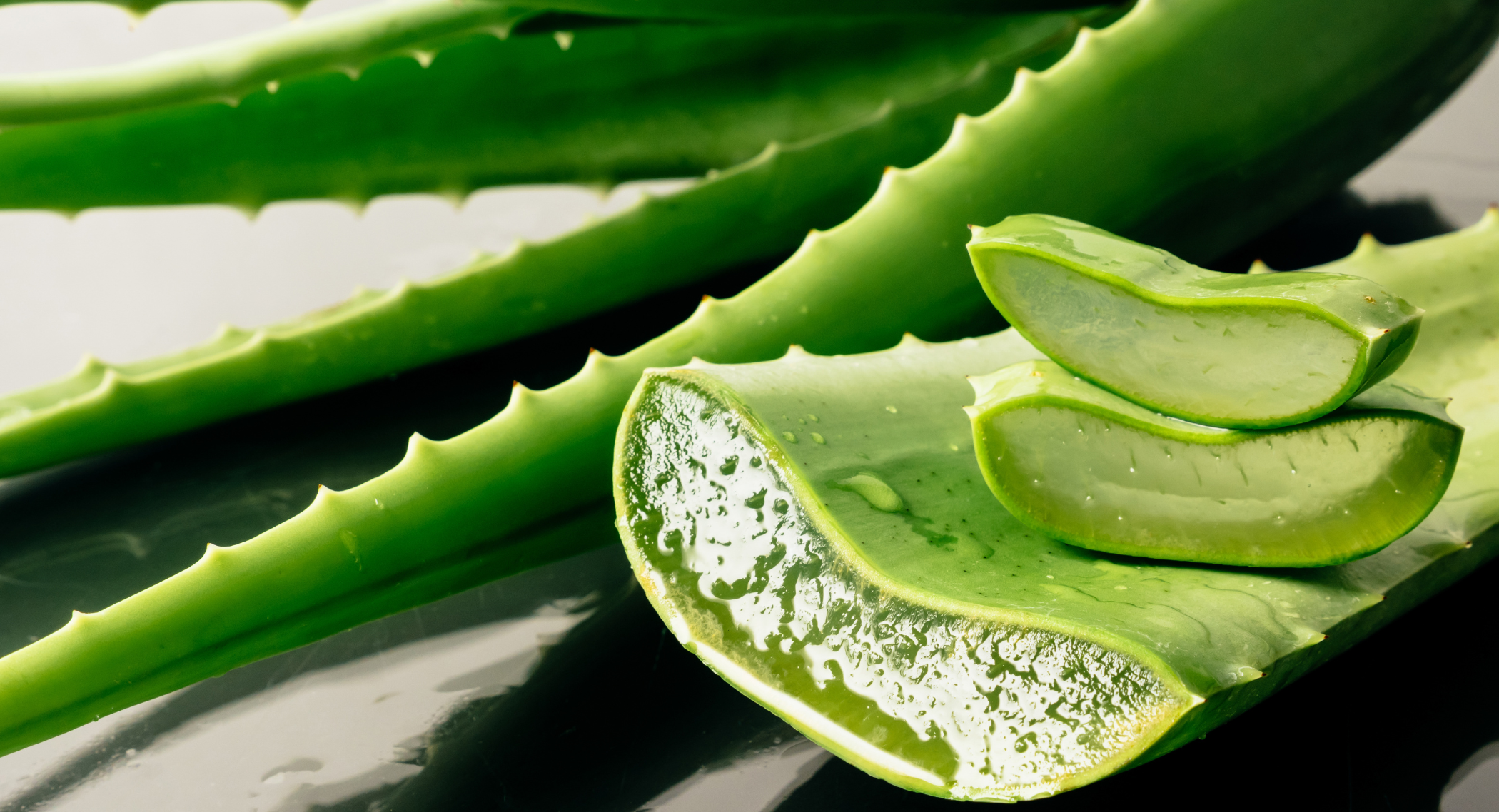 Aloe Vera Extrakt