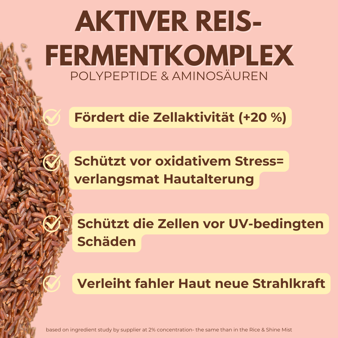 Rice Milky Toner mit Exosomen, Centella-Stammzellen &amp; Hyaluron