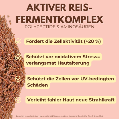 Rice Milky Toner mit Exosomen, Centella-Stammzellen &amp; Hyaluron